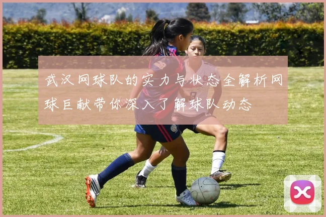 武汉网球队的实力与状态全解析网球巨献带你深入了解球队动态