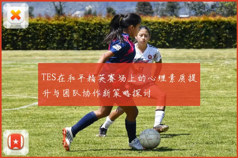 TES在和平精英赛场上的心理素质提升与团队协作新策略探讨