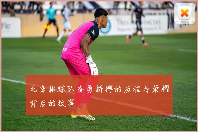 北京排球队奋勇拼搏的历程与荣耀背后的故事