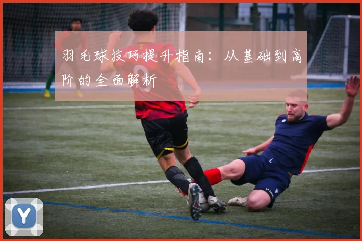 羽毛球技巧提升指南：从基础到高阶的全面解析